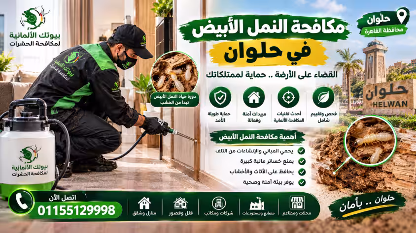 مكافحة النمل الأبيض في حلوان