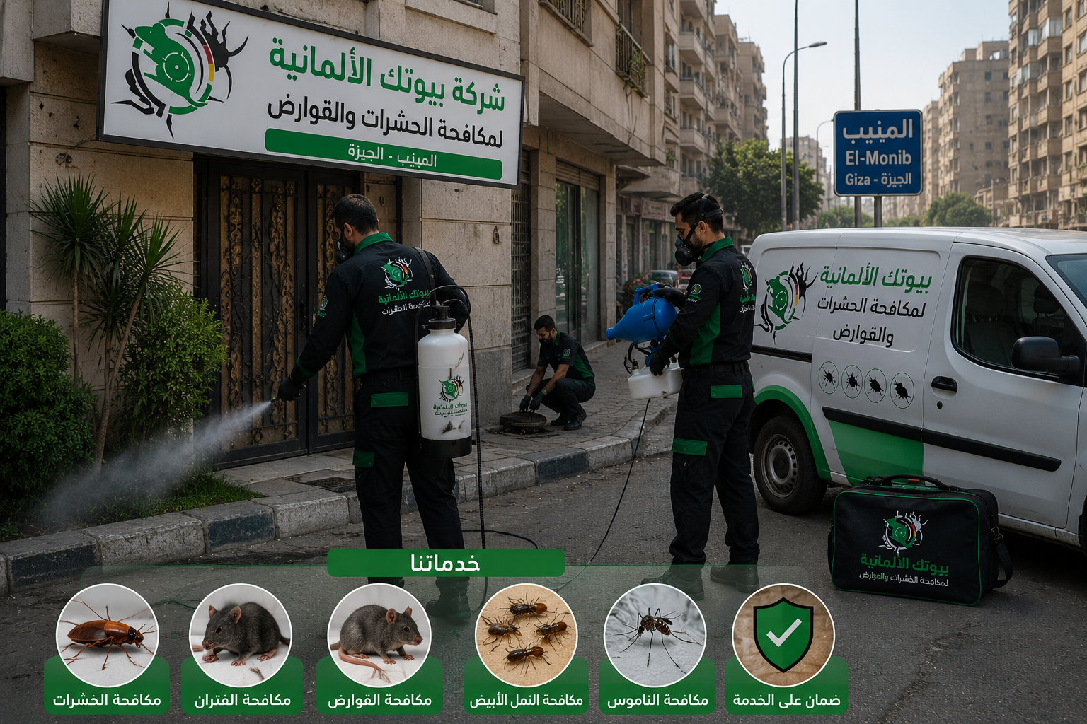أنواع الحشرات المنتشرة في المنيب