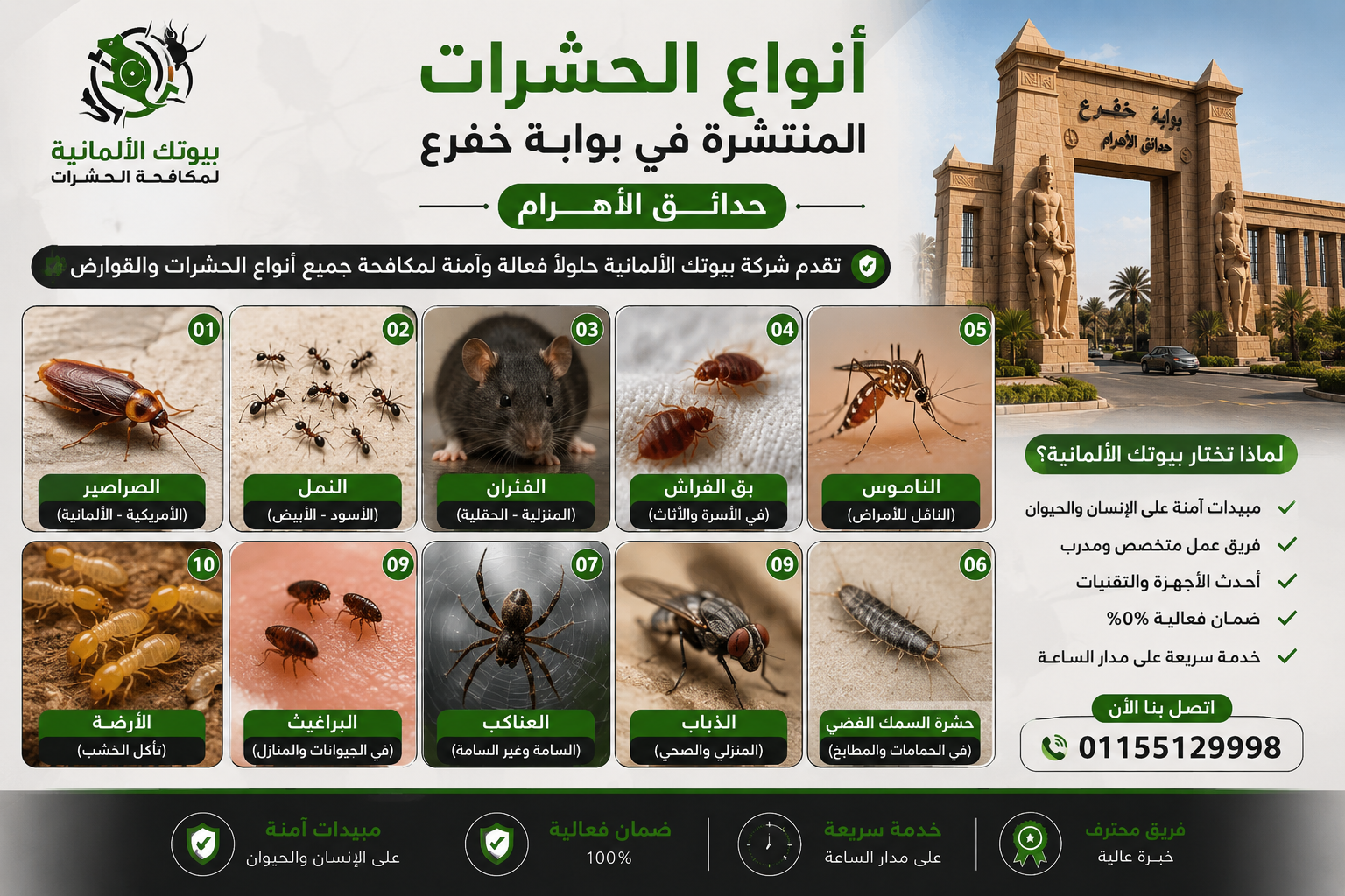 أنواع الحشرات المنتشرة في بوابة خفرع