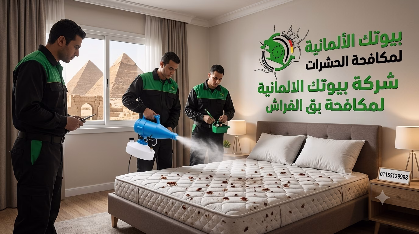 مكافحة بق الفراش في بوابة مينا