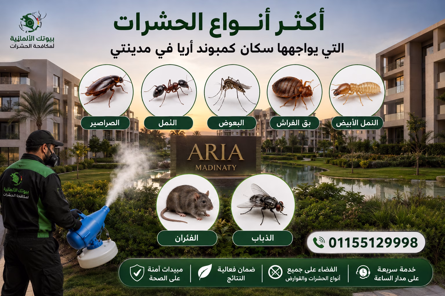 أكثر أنواع الحشرات التي يواجهها سكان كمبوند أريا في مدينتي