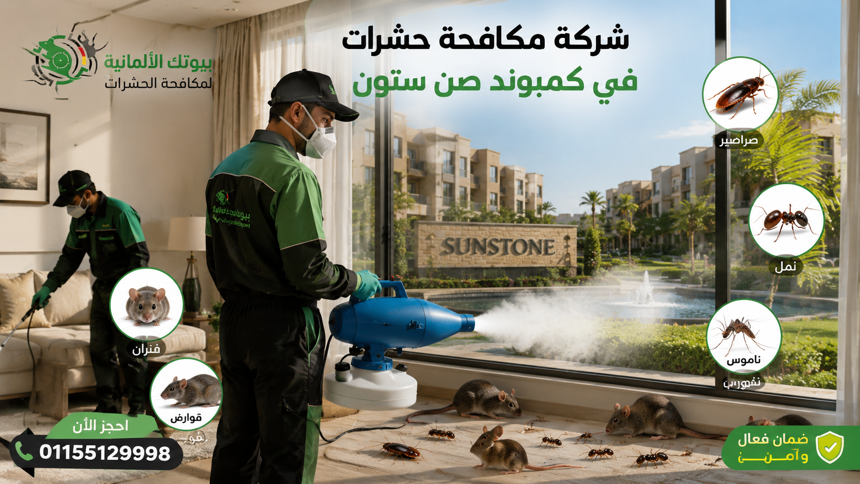 شركة مكافحة حشرات في كمبوند صن ستون