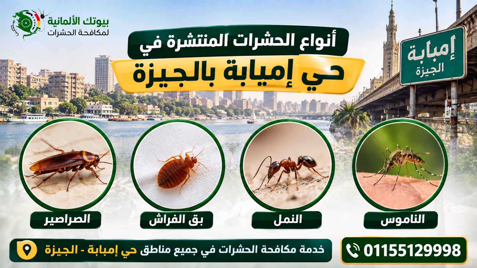 أنواع الحشرات المنتشرة في حي إمبابة بالجيزة 